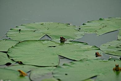 《夺宝奇兵：古老之圈》PS5版已通过ESRB评级